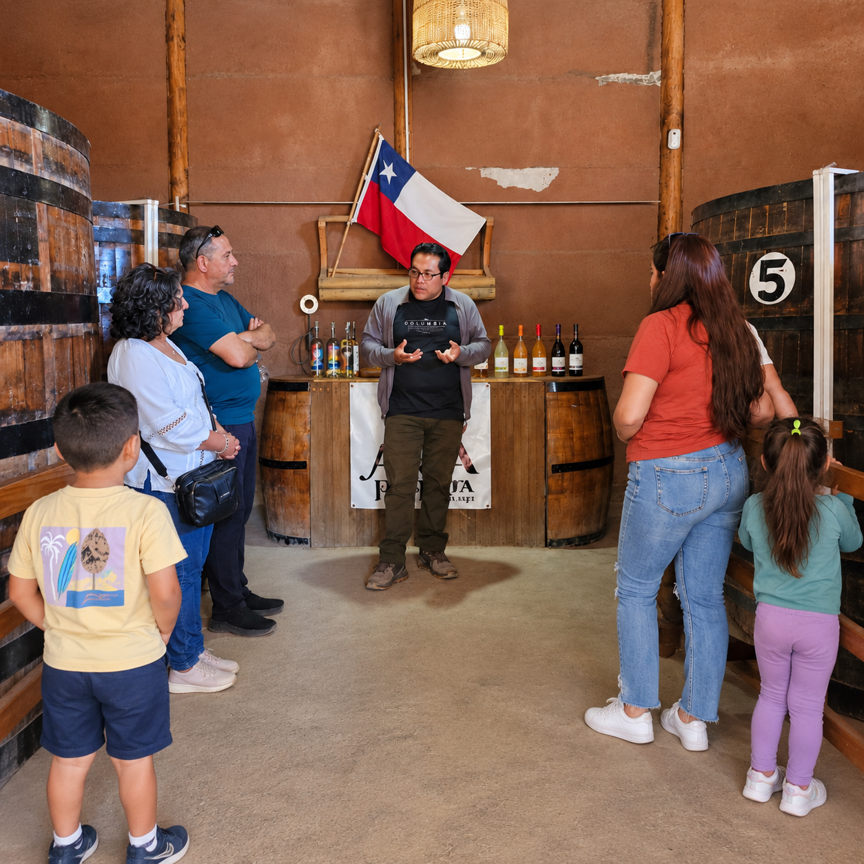 Visita guiada a una bodega en el Valle del Elqui